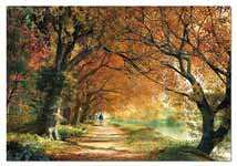 Ref 14819 / 25.95 € / 2000 pzas
